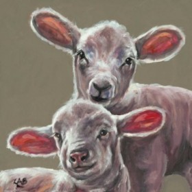 Spring Lambs