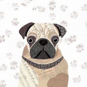 Pug