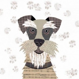 Schnauzer