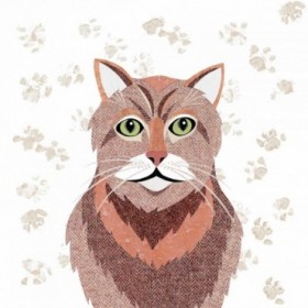Ginger Tom