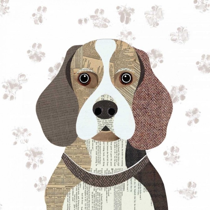 Beagle