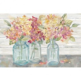 Farmhouse Hydrangeas in Mason Jars Spice - Cuadrostock