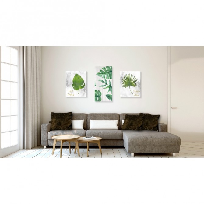 Conjunto de 3 cuadros de hojas y plantas. Medidas:60x75/50x100/60x75cm