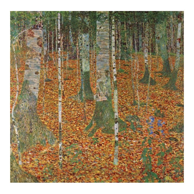 Birch Forest by Klimt