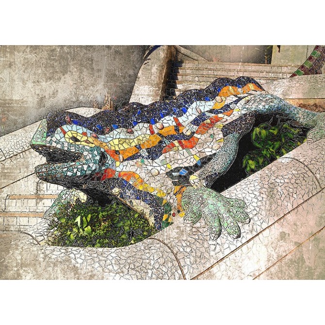 FR Barcelona 06