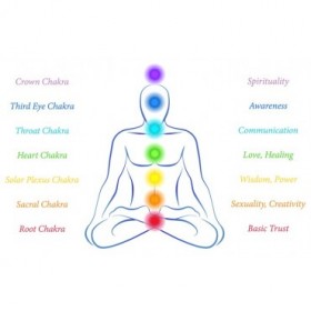 58235951 - Chakras