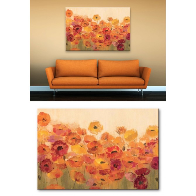 Summer Poppies