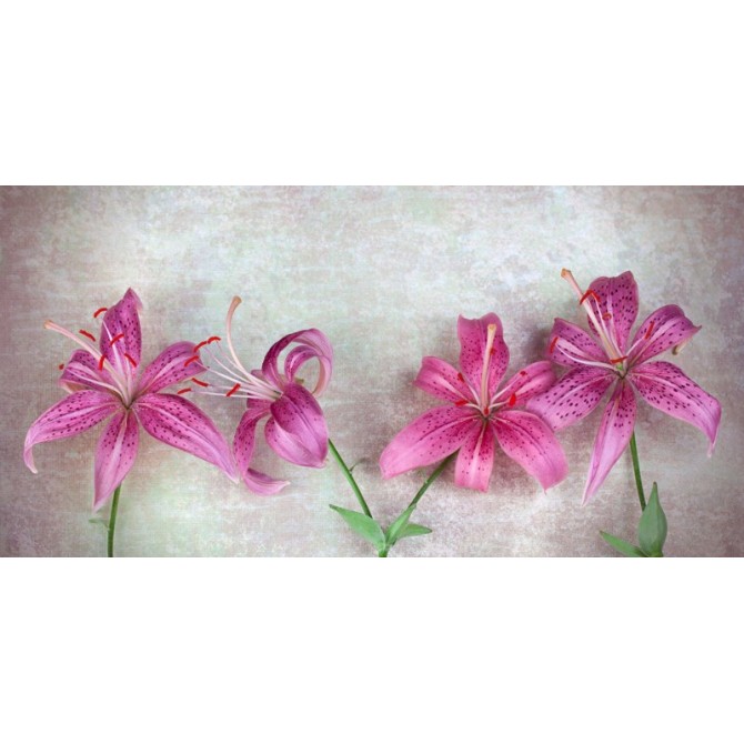 45444958 Cuadro Flores Fucsia - Cuadrostock