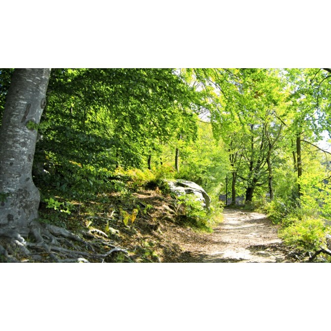 CRB-002-Camino del Montseny