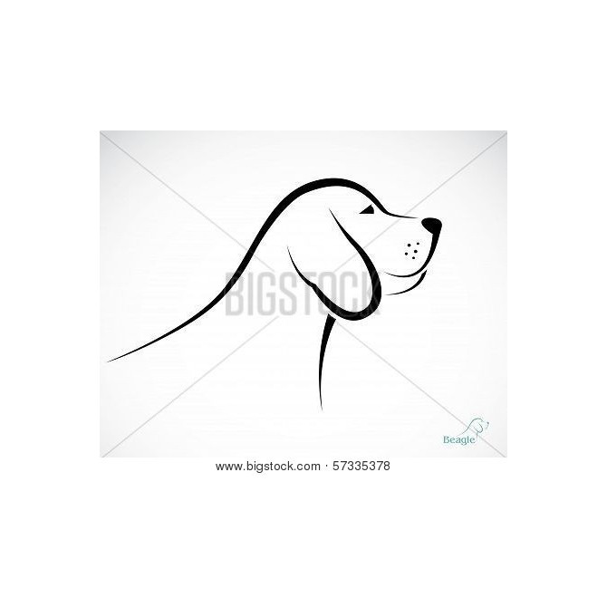Vector Image Of An Dog Beagle