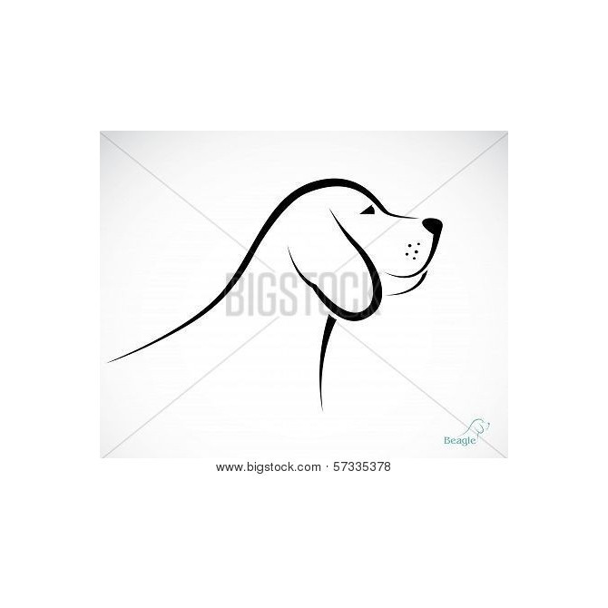 Vector Image Of An Dog Beagle - Cuadrostock