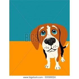 Illustration of a Beagle Dog - Cuadrostock