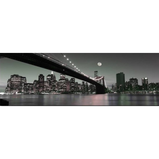 23351310_X / Cuadro New York Noche Luna