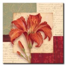 GLA-418_Bella Donna II / Cuadro Flores, Flor Roja sobre fondo Vintage