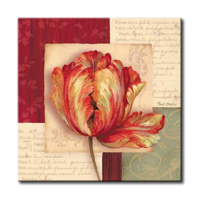 GLA-417_Bella Donna I / Cuadro Flores, Flor Roja sobre fondo Vintage