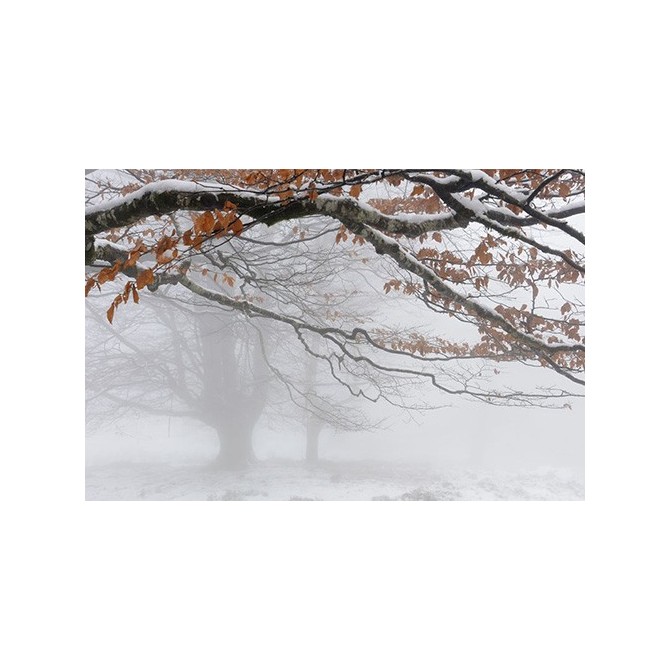 Cuadro Invierno otoñal -JRB 002