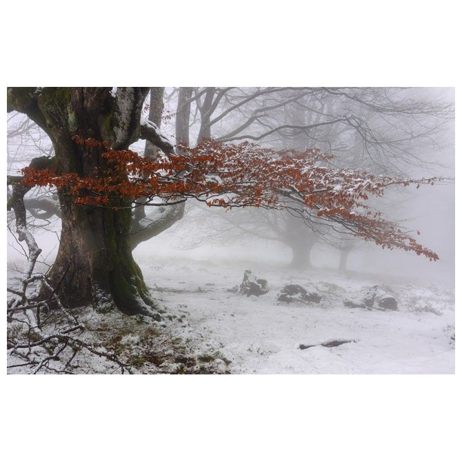 Cuadro invierno otoñal2 -JRB 003