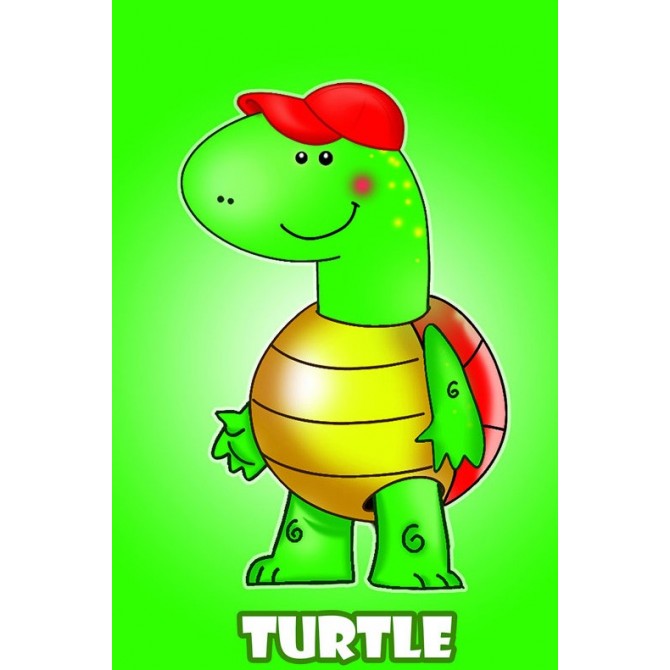 Cuadro Tortuga- Turtle-10 - Cuadrostock