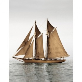 12150 / Cuadro Mystic Journey I