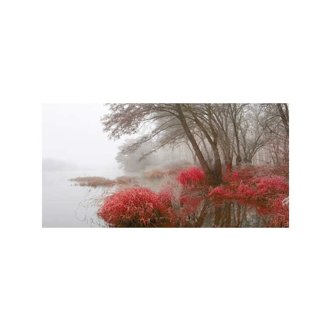 JAP837 / Cuadro Niebla en pantano