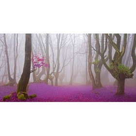JAP829 / Cuadro Bosque hojas fucsias