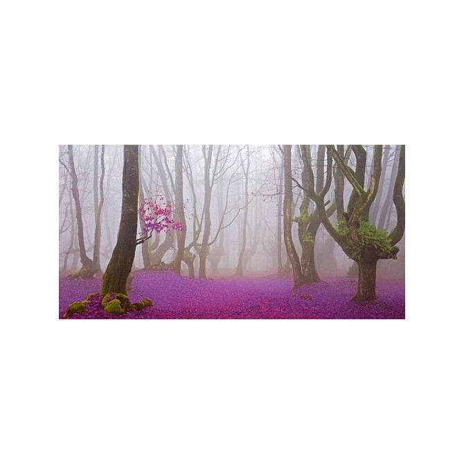 JAP829 / Cuadro Bosque hojas fucsias