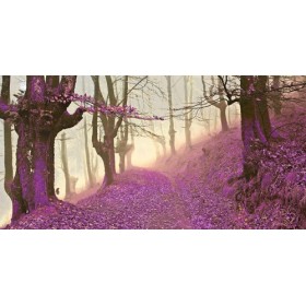 JAP827 / Cuadro Bosque en morado