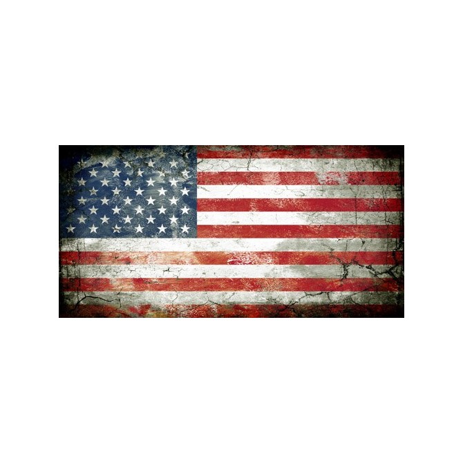 JHR-Cuadro bandera - USA 1