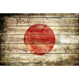 JHR-Cuadro bandera - Japón 2