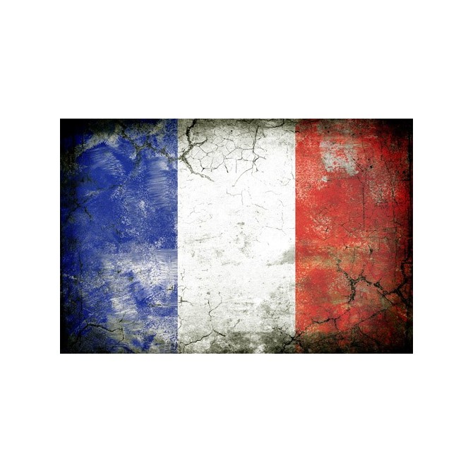 JHR-Cuadro bandera - Francia 1 - Cuadrostock