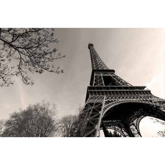12799102 / Cuadro Torre Eiffel - Cuadrostock