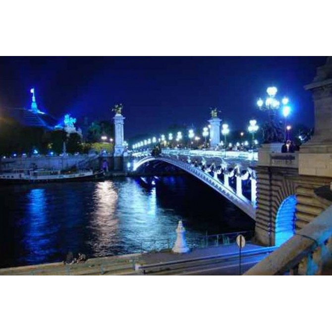 3747842 / Cuadro Puente parisino iluminado - Cuadrostock