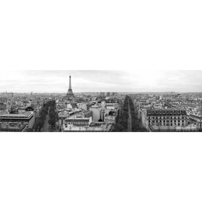 14396139 / Cuadro Torre Eiffel vista panorámica