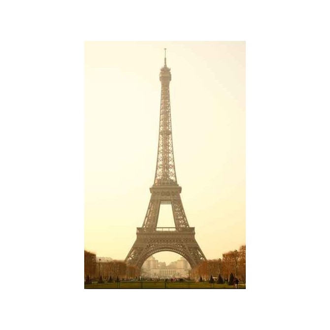 31201437 / Cuadro Torre Eiffel