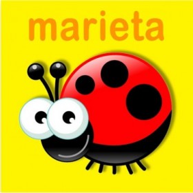 23159353 / Cuadro Marieta - Cuadrostock