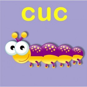 23159353 / Cuadro Cuc