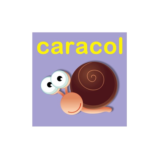 23159353 / Cuadro Caracol