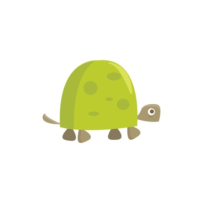 Cuadro Tortuga