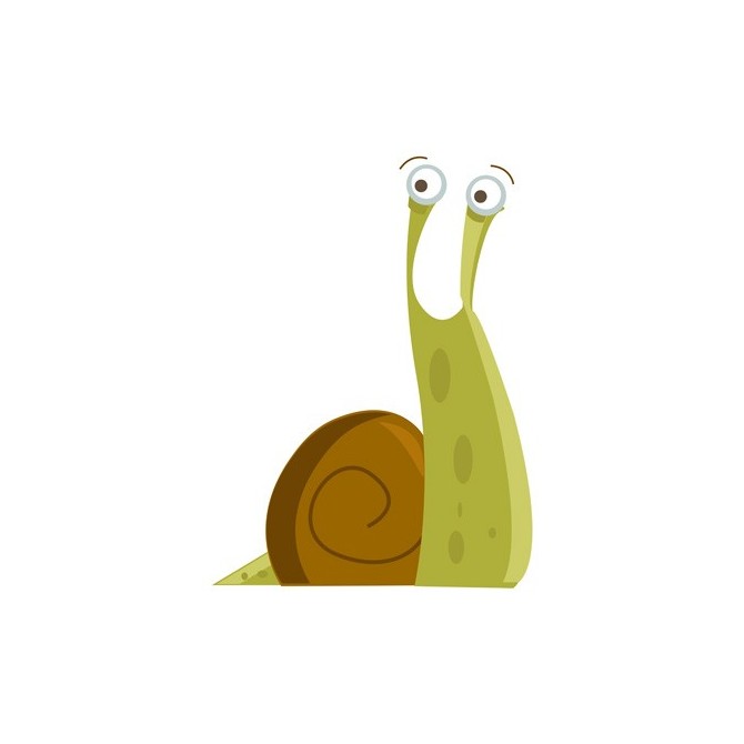 Cuadro Caracol