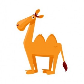 Cuadro Camello
