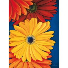 8116 / Cuadro Gerberas