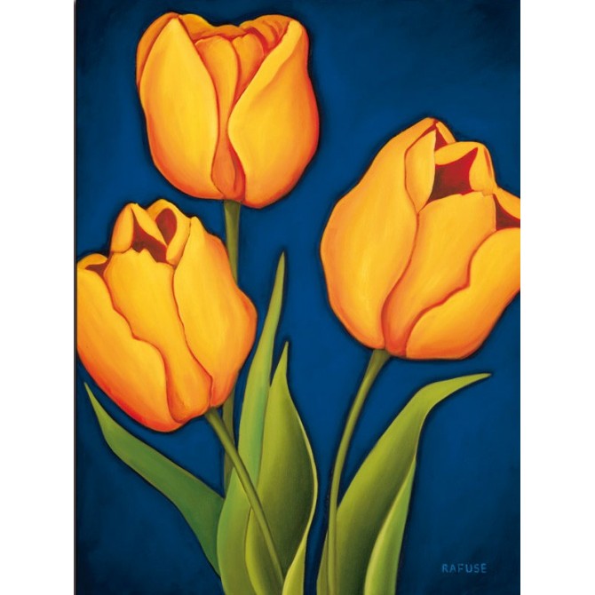 8115 / Cuadro Tulips - Cuadrostock