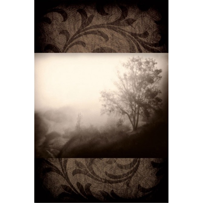 PLP 129 / Cuadro Early Morning Fog