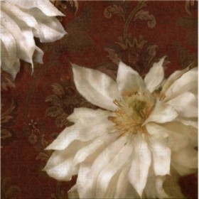 PLP 107 / Cuadro Royal Clematis II
