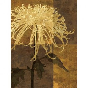 12732 / Cuadro Golden Mums I
