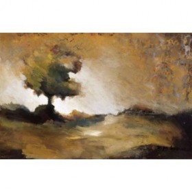 KZP 101 / Cuadro Tree in Fall