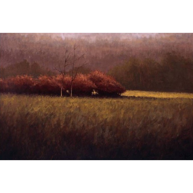 12510 / Cuadro Young Maples