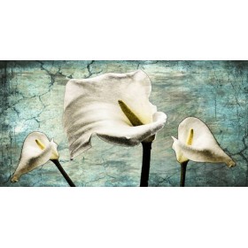 Cuadro Callas I