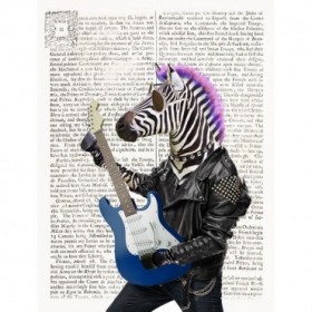 Rockn Zebra