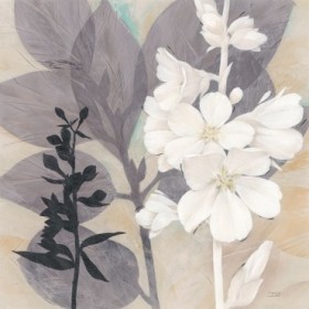 Botanical Story 2